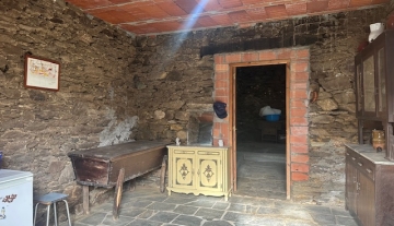 IMG_4549.jpeg