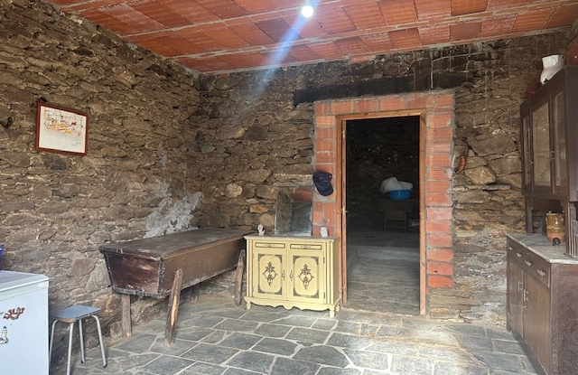 IMG_4549.jpeg